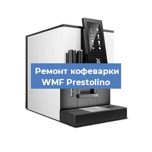 Чистка кофемашины WMF Prestolino от кофейных масел в Волгограде